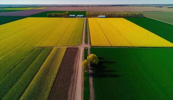 generativ ai, bruka landskap, jordbruks vete fält, skön landsbygden, Land väg. natur illustration, fotorealistisk topp se Drönare, horisontell baner. foto