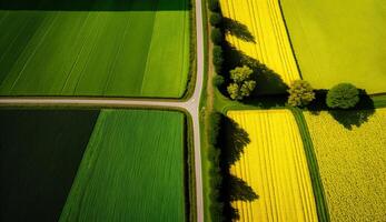 generativ ai, bruka landskap, jordbruks fält, skön landsbygden, Land väg. natur illustration, fotorealistisk topp se Drönare, horisontell baner. foto