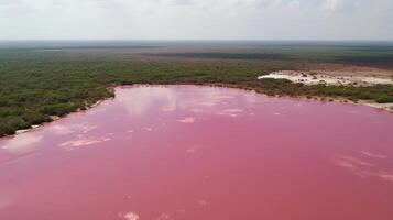 eterisk ser av rosa sjö, förbryllande ser från kust. ai genererad foto