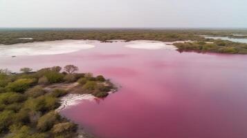 eterisk ser av rosa sjö, förvånande ser från kust. ai genererad foto