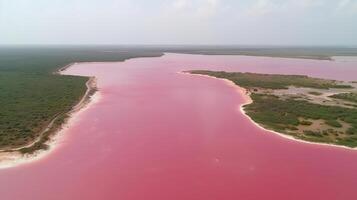 eterisk ser av rosa sjö, bländande ser från kust. ai genererad foto