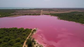 eterisk ser av rosa sjö, upprörande ser från kust. ai genererad foto