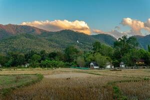 en fält i pai, thailand med bergen och moln i de distans foto