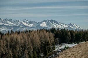 fjäll, träd, snö vår Foto från Slovakien, liptov 10.04.2023