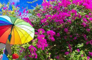 Dominikanska republik, färgrik kolonial paraply gata i puerto plata foto