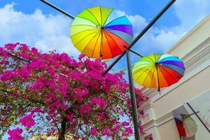 Dominikanska republik, färgrik kolonial paraply gata i puerto plata foto