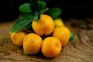 de calamondin orange nitro fortunella makrocarpa är en hybrid av mandarin ett cumquat foto