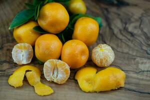 de calamondin orange nitro fortunella makrocarpa är en hybrid av mandarin ett cumquat foto