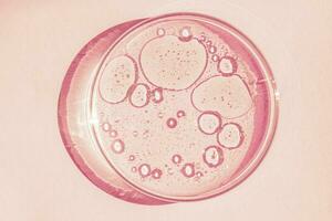 petri maträtt. petris kopp med flytande. kemisk element, olja, kosmetika. gel, vatten, molekyler, virus. närbild. på en rosa bakgrund. foto