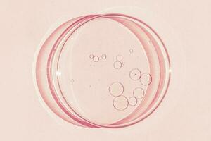 petri maträtt. petris kopp med flytande. kemisk element, olja, kosmetika. gel, vatten, molekyler, virus. närbild. på en rosa bakgrund. foto