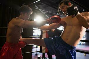 använder sig av de fötter är ett av de bemästra tekniker av muay thai den där är Begagnade till sparka och hiss till förhindra sparkar. som boxare är populärt Begagnade som vapen, muay thai, thai krigisk konst. foto