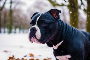 Staffordshire tjur terrier hund. porträtt av en skön Staffordshire tjur terrier spelar i de parkera. generativ ai foto