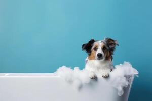 tvättning sällskapsdjur. söt hund i bad på blå bakgrund. generativ ai foto
