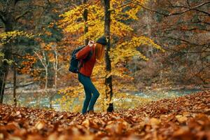 kvinna i en Tröja jeans och med en hatt på henne huvud landskap fallen löv modell foto