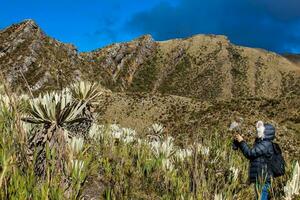 ung kvinna utforska de natur av en skön paramo på de avdelning av cundinamarca i colombia foto