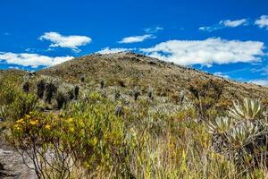 skön landskap av colombianska andean bergen som visar paramo typ vegetation i de avdelning av cundinamarca foto