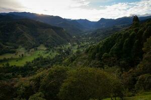 skön se över de cocora dal i salento, från el mirador, belägen på de område av quindio i colombia foto