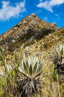 skön landskap av colombianska andean bergen som visar paramo typ vegetation i de avdelning av cundinamarca foto