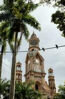 tre symboler av de stad av palmira i colombianska. handflatan träd, duvor och de historisk nuestra senora del palmar katedral foto
