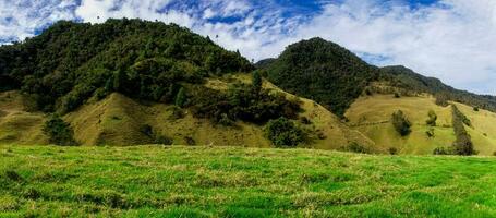 skön panorama- se av de cocora dal på de quindio område i colombia foto