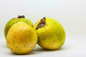 frukt av de psidium friedrichsthalanum kallad guayaba agria eller guayaba koronilla foto