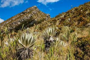 skön landskap av colombianska andean bergen som visar paramo typ vegetation i de avdelning av cundinamarca foto