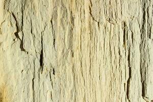 stänga upp se av gammal trä- bark, präglad textur av de brun träd, mönster av naturlig cutted träd bakgrund, grov yta, horisontell skriva ut för dekoration, omslag, tapeter, interiör design foto