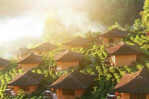 skön tillflykt och vallage är kinesisk stil med te plantage i dimma och soluppgång lysande på de berg på förbjuda rak thai, mae hong son provins, thailand. foto