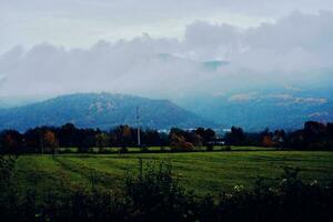 bergen grön gräs bergen dimma resa natur foto