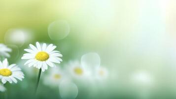 daisy blomma bakgrund. illustration ai generativ foto