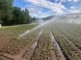 sprinklerbevattning på plöjt fält foto