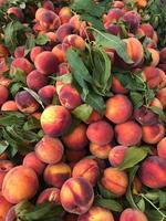välsmakande och mogna persikor