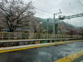 Kyoto, japan i april 2019. arashiyama station med drizzly väder betingelser och fortfarande i vår. körsbär blomma träd foto