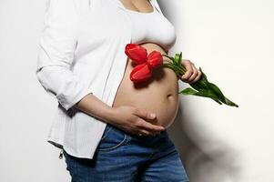 närbild gravid mage med sträcka märken av en gravid kvinna, förväntans mor Framställ med röd tulpaner på isolerat vit foto