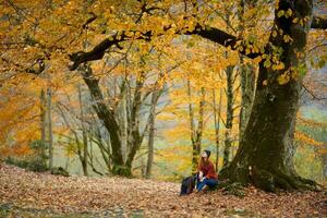 kvinna vandrare under en träd i höst skog landskap gul löv höst foto