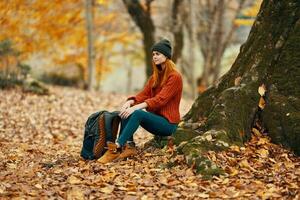 kvinna Sammanträde nära en träd i höst skog och faller löv landskap parkera foto