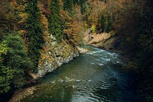 höst skog bergen natur flod resa landskap foto