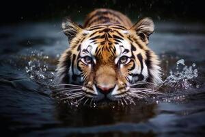 en stänga upp porträtt av fascinerande tiger fotografi skapas med generativ ai teknologi. foto