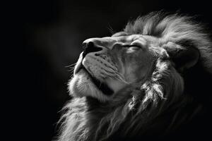 en stänga upp porträtt av fascinerande lejon fotografi skapas med generativ ai teknologi. foto
