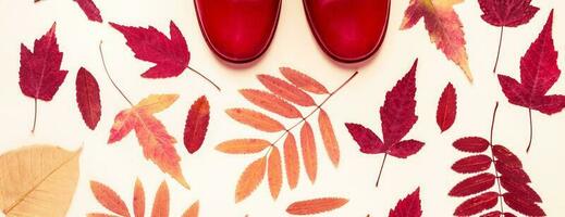 flerfärgad höst löv och röd sudd stövlar. höst bakgrund foto