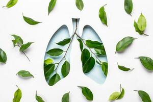 blå hål lungor och grön kvistar som symbol av friska lungorna. värld tuberkulos dag eller värld lunga dag begrepp. minimal papper konst foto