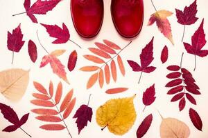 flerfärgad höst löv och röd sudd stövlar. höst bakgrund foto