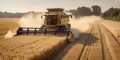 ai genererad. ai generativ. tröskor kombinera traktor på solnedgång fält av vete spannmål växt. jordbrukare utomhus- inspirera vibe. grafisk konst foto
