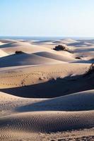 maspalomas sanddyner, gran canaria foto