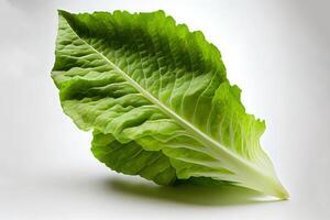 särskild ett naturlig romaine sallad. generativ ai foto