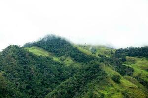 se av de skön moln skog och de quindio vax palmer på de cocora dal belägen i salento i de quindio område i colombia. foto