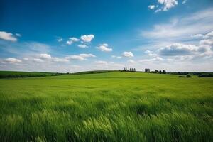 ändlös grön fält med blå himmel, generativ ai foto