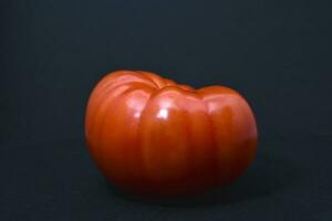 en stor röd tomat på en svart bakgrund. grönsaker närbild. foto