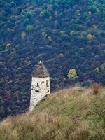 slåss torn erzi i de jeyrah klyfta. medeltida torn komplex erzi, ett av de största medeltida slottsliknande torn byar, belägen på de extremitet av de berg räckvidd i ingushetia, Ryssland. foto