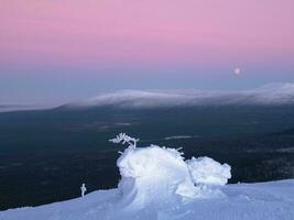 snötäckt berg backe med fint vit träd på de natt foto